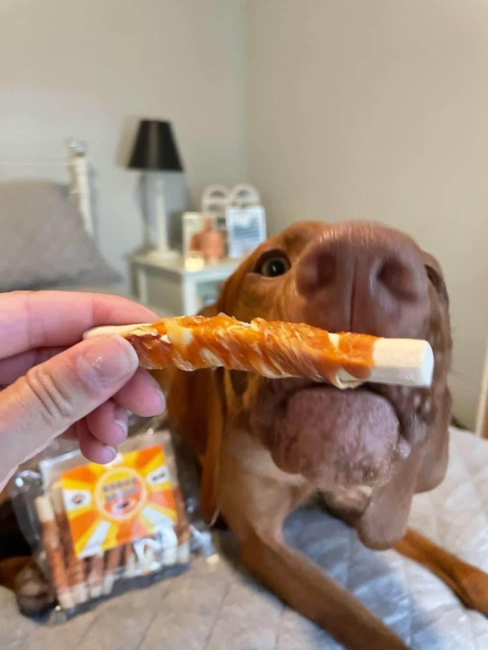 Rena's Recipe Chicken Wrapped Biscuit Twists Dog Treats, 8 oz | Crunchy Biscuit Sticks Wrapped with Real Chicken and Glucosamine