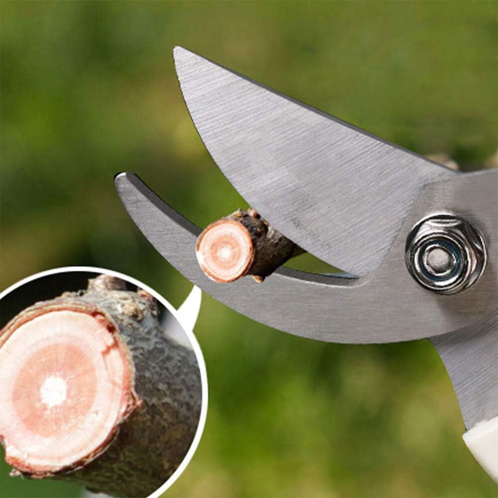 BUGUI Wood Handle Pruning Shears, SK-5 Steel Blade, 1-inch Cutting Capacity, Sharp, Well Designed Garden Shears, 8"