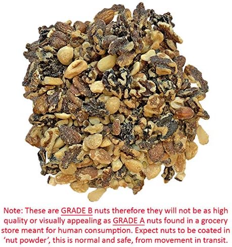 Exotic Nutrition Premium Nut Mix - Unroasted, Unsalted Walnuts, Hazelnuts, Almonds - Food & Treat for Squirrels, Parrots & Other Small Pets (5 lb.)