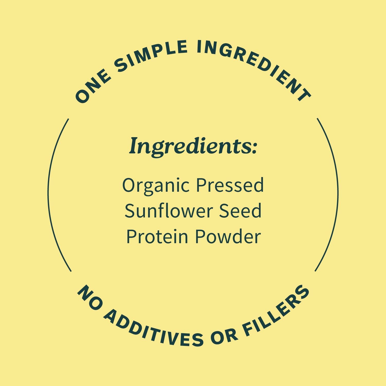 Sprout Living Organic Pumpkin Seed Protein Powder, Unflavored, 20 Grams of Plant Based Protein Powder Without Artificial Sweeteners, Non Dairy, Non-GMO, Vegan, Gluten Free (1 Pound, 14 Servings)