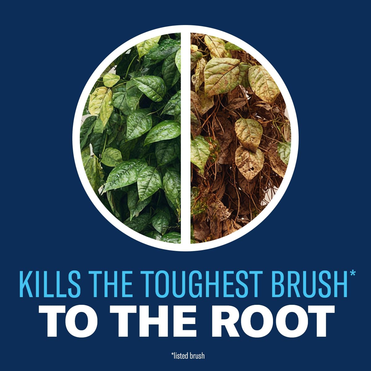 BioAdvanced Brush Killer Plus Concentrate - Mix & Spray - Kills Tough Brush like Poison Ivy and Kudzu - Visible Results in 1-6 Weeks - Rainproof in