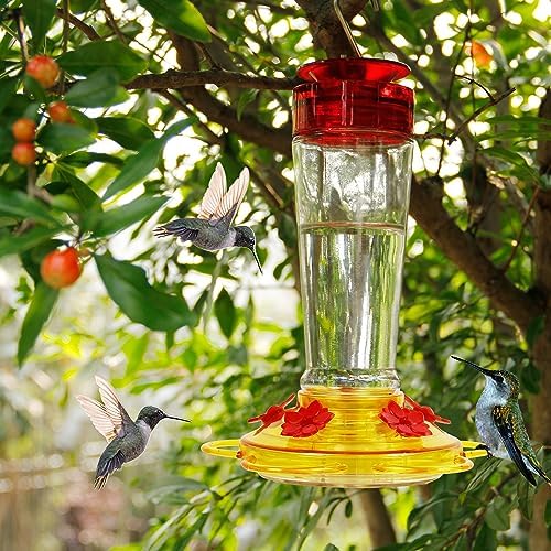 Shrdaepe Hummingbird Feeder, Glass Bottle Bird Feeders, 5 Feeding Ports, 10-Ounce Nectar Capacity