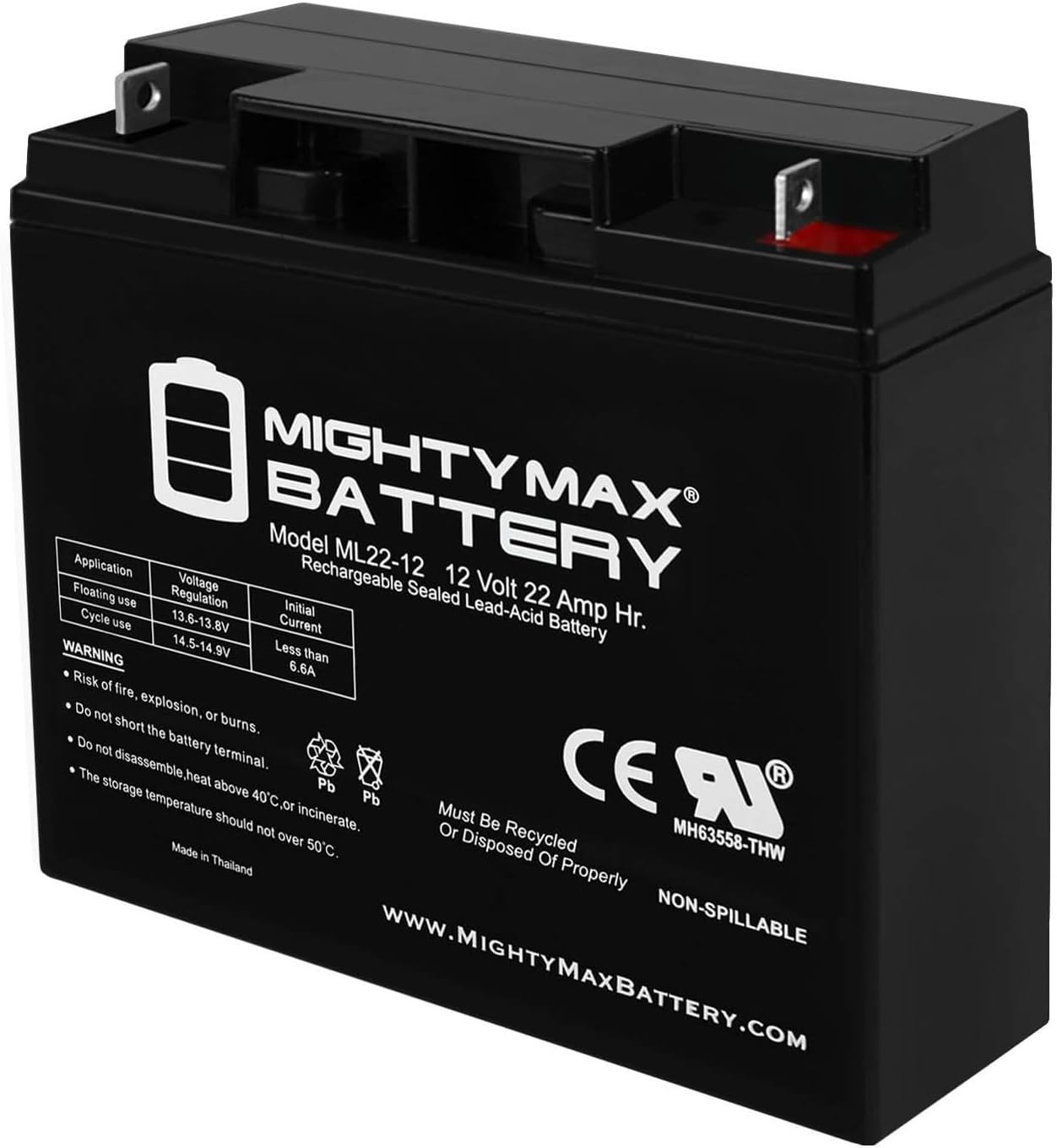 Mighty Max Battery ML22-12 - 12V 22AH UPS Battery Replaces Enduring 6FM22, 6-FM-22