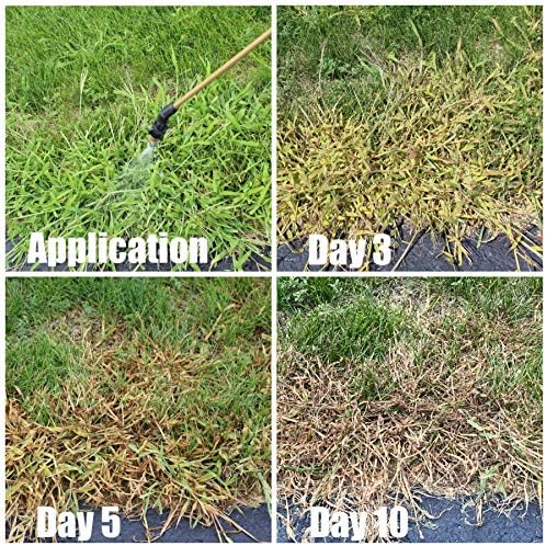 Quinclorac 1.5 L -(1/2 gal.) Compare to Drive XLR8- Kills Crabgrass