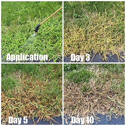 Primesource Quinclorac 1.5 Select Liquid Crabgrass Killer 7.5 Ounces