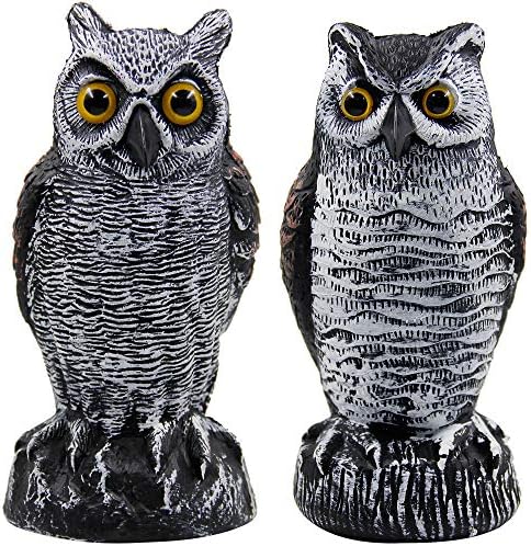 Hausse 2 Pack Fake Horned Owl Bird Scarecrow Decoy 10.5 Inch Height, Plastic Deterrents, Halloween Decoration