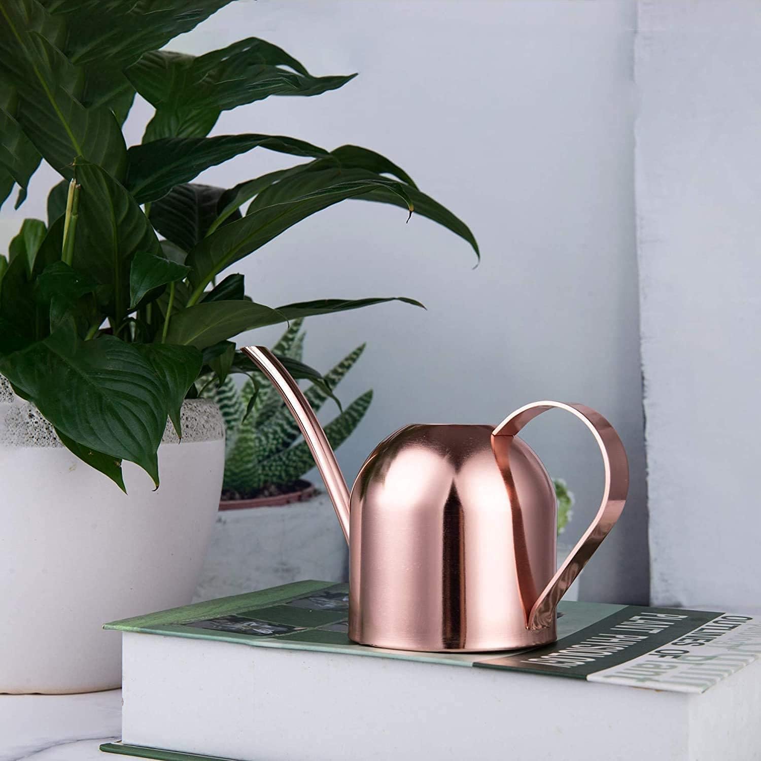 IMEEA Indoor Watering Can for House Plants 33oz/1L Brushed Stainless Steel Watering Can with Long Spout for Succulents, Bonsai