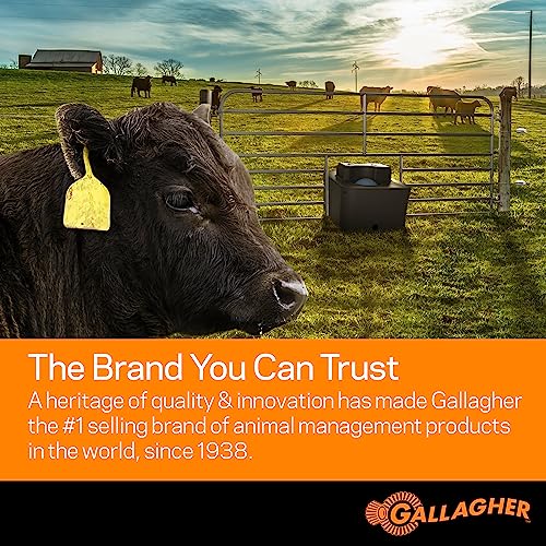 Gallagher M60 Electric Fence Charger | 110V Plug-in Energizer for Up to 20 Acres or 5 Miles | Low-Impedance Fencer for Livestock, Poultry