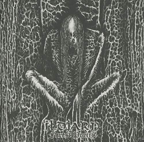 Forest Poetry