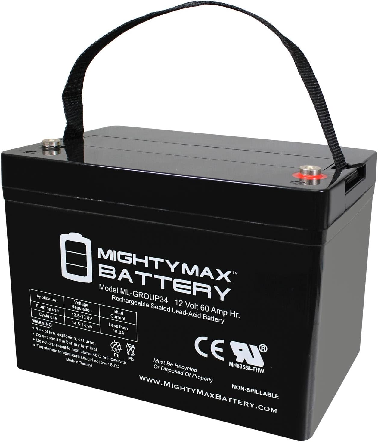 ML100-12 - 12 Volt 100 AH, Internal Thread (INT) Terminal, Rechargeable SLA AGM Battery, 1 Count (Pack of 1)