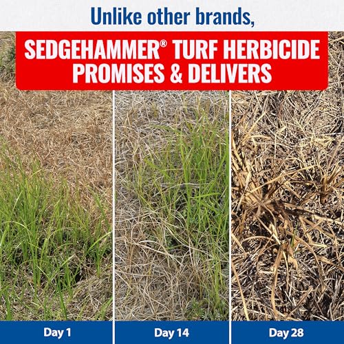 Sedgehammer 51516 Nutsedge Herbicide | Kills Yellow and Purple Nutsedge, Green Kyllinga, Selective Weed Killer for Lawns, Gardens and Landscapes