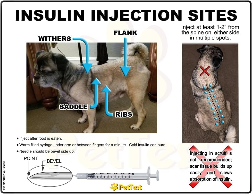 COOLshot Cold Numbing Device for Diabetic Pets
