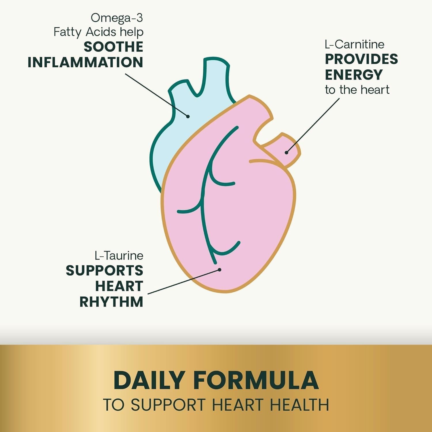 VetriScience Omega Healthy Heart Easy-Open Capsules, Cardio Strength Taurine and Omega-3 Supplement for Dogs and Cats