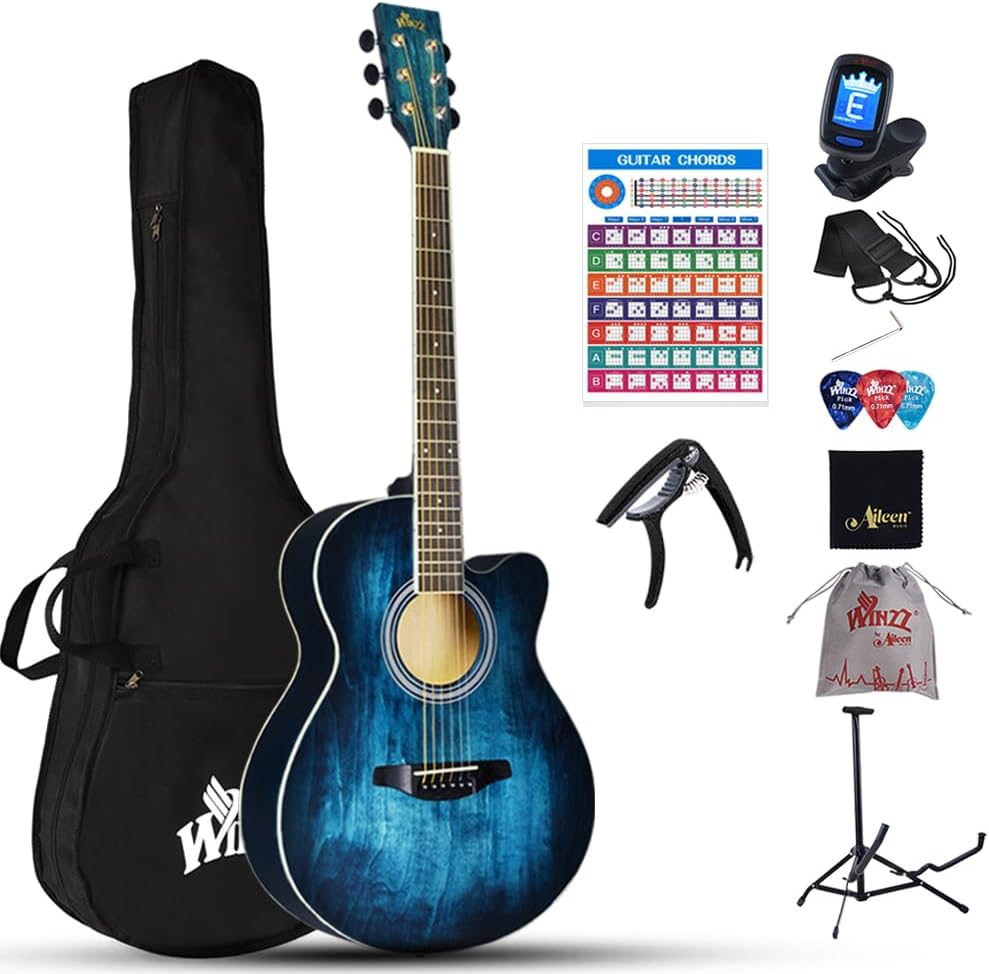 Winzz 40 Inches Acoustic Steel-string Guitar Beginner, Elegant Unique Color Design (Blue-green)