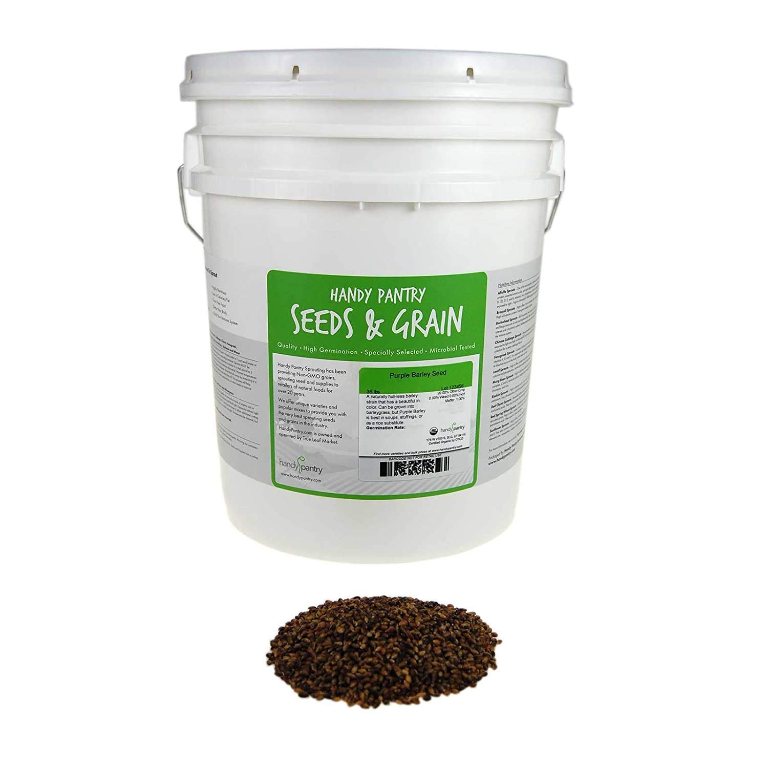 Handy Pantry Purple Barley Seeds - Certified Organic - 35 Lb Bucket | Also Called Black Barley - No Hull - For Barleygrass, Grind for Flour, Food Storage, Soups & More