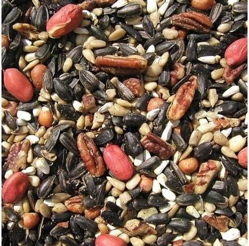 Cole's SF20 Special Feeder Bird Seed, 20-Pound