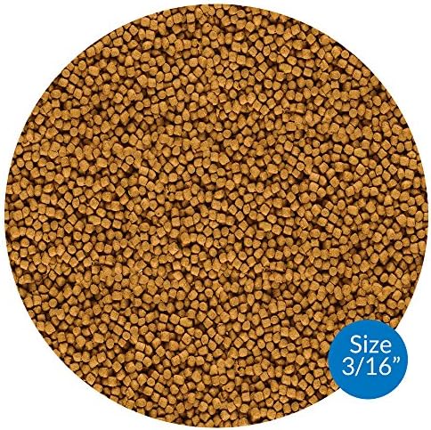 API POND FISH FOOD Pond Fish Food 11.5-Ounce Bag