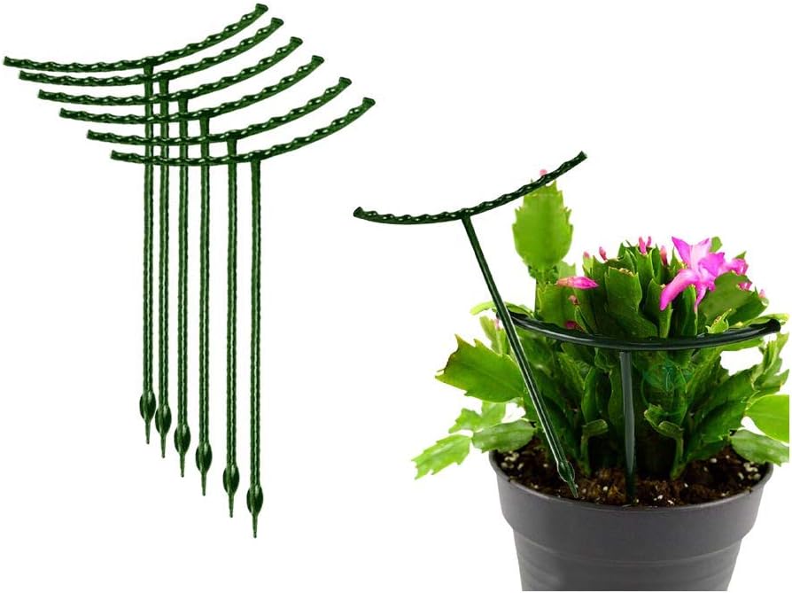 Belit 8 Pack Plant Supports for Small Plants, Garden Flowers Green Plant Support Ring, Planter Support Ring for Schlumbergera, Clivia, Succulents