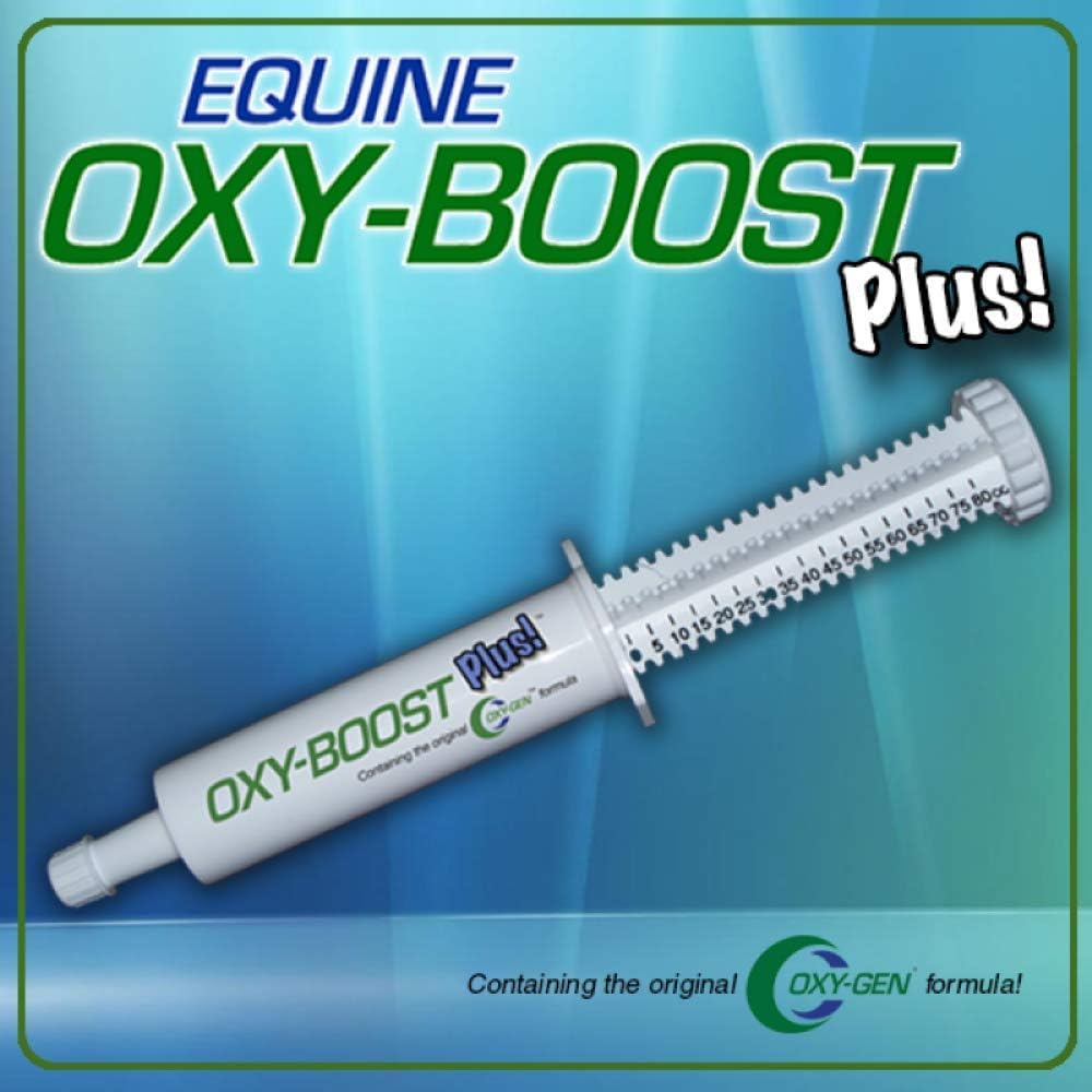 Oxy-Gen Oxy-Boost Probiotic Electrolyte Paste for Horses | Contains Vitamin E, Omega 3