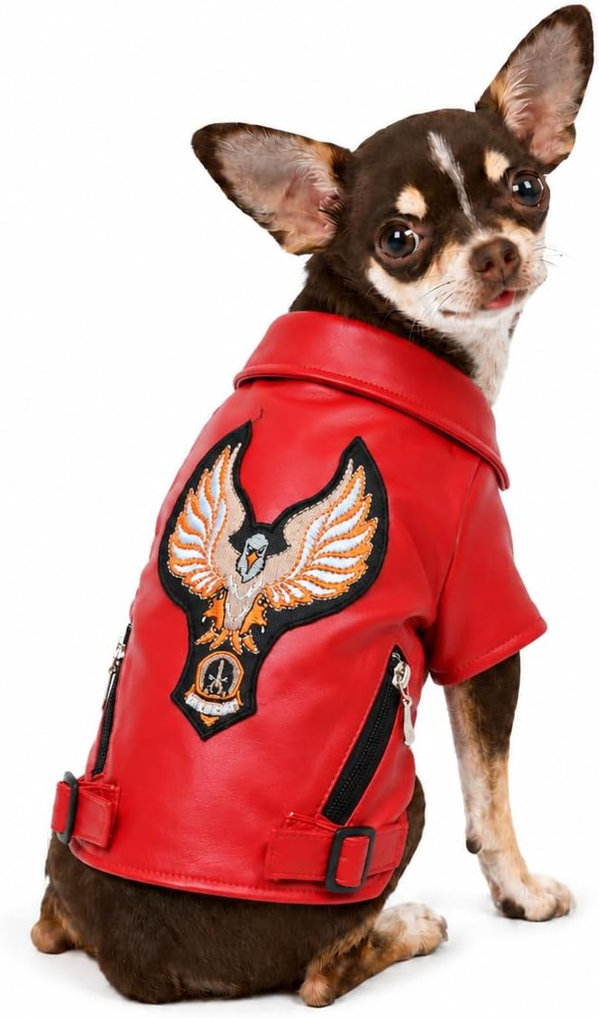 Lovelonglong Cool Dog Leather Jacket, Warm Coats Dogs Windproof Cold Weather Coats for Large Medium Small Dogs with Eagle Embroidery Black XS