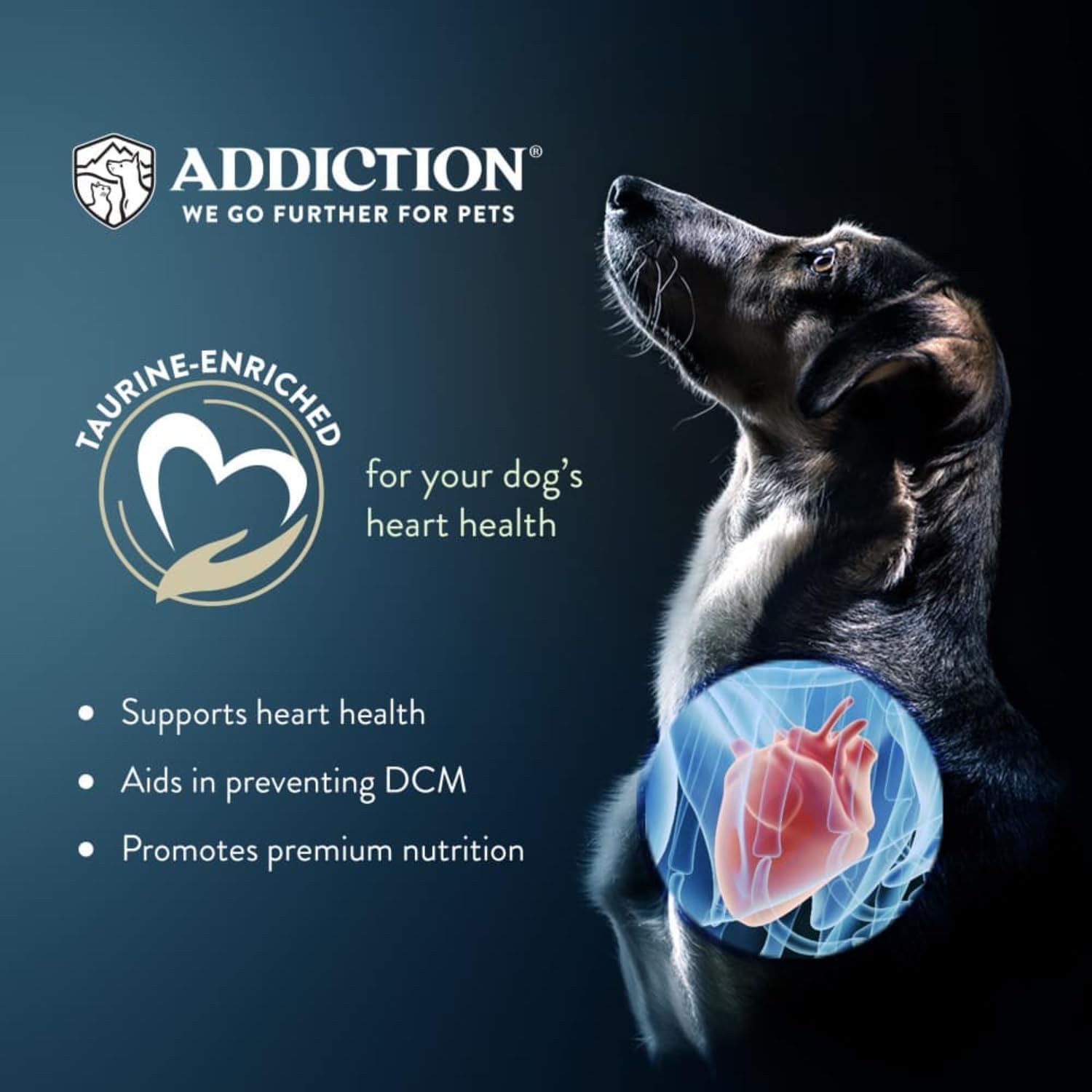 Addiction Viva La Venison Dog Food – Grain-Free Dry Dog Food with Novel Protein & Prebiotics, No Chicken, Beef, or Turkey – Ideal for All Dogs & Puppies – Made in New Zealand 4lb