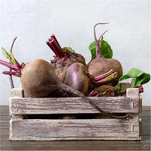 beet
