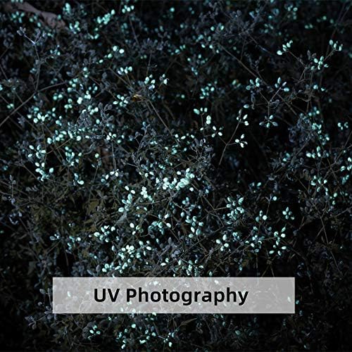 Weltool Professional UV Flashlight 365nm Black Light Max. 2060mW High Power for Glue Curing, AC Leak Detector, Rocks and Mineral Glowing, Pet Urine Detector, Non Destructive Testing