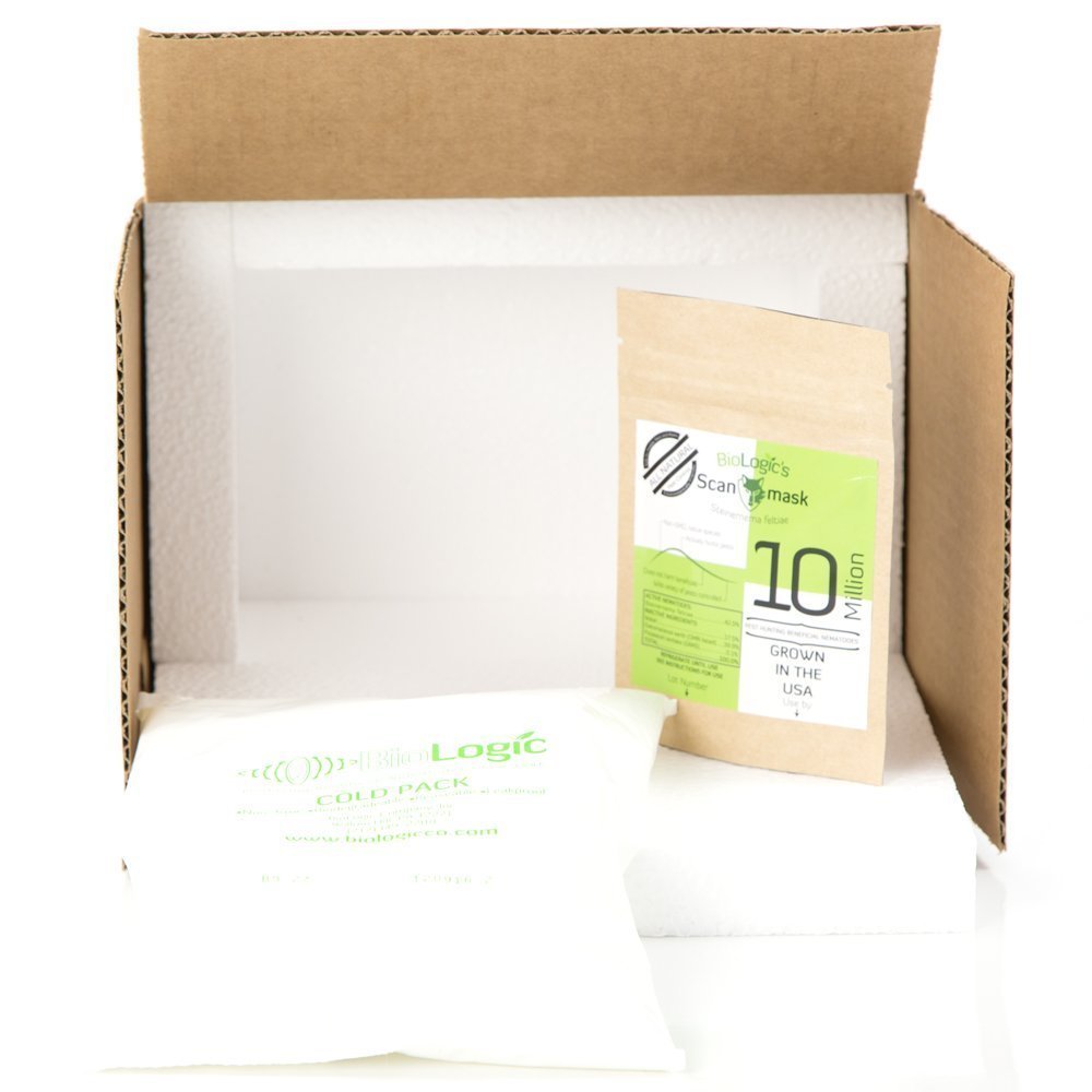 BioLogic's Scanmask Beneficial Nematodes, Steinernema feltiae Sf Nematodes for Natural Insect Pest Control (10 Million)