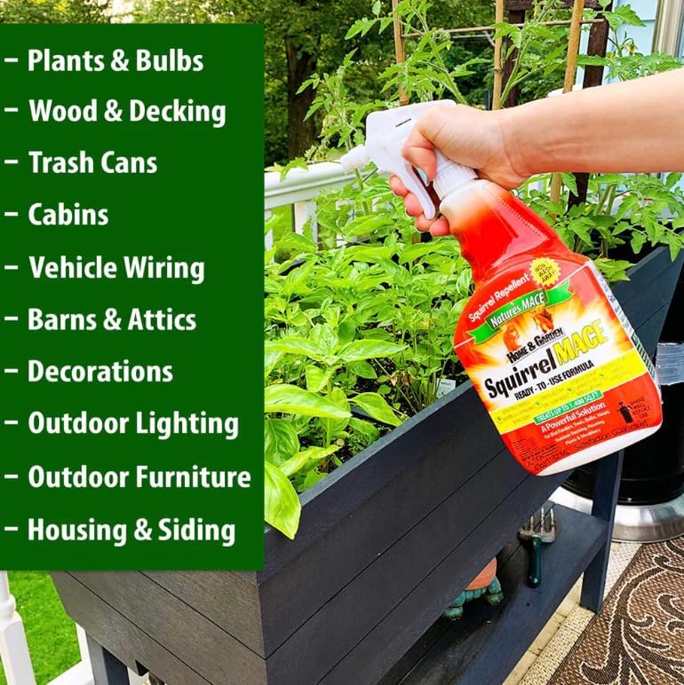 Nature's Mace Squirrel Mace Repellent 40 oz Spray | Squirrel and Chipmunk Repellent, Keep Squirrels Out of Your Garden, Attic, Bird Feeders, Fruit Trees, Plants, Potted Plants.