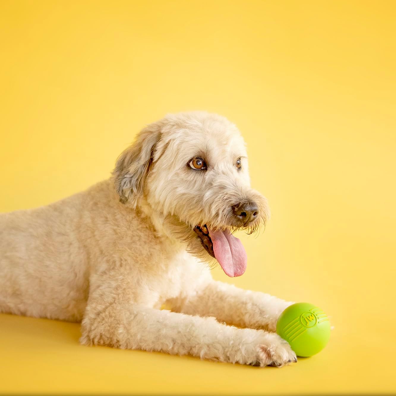 JW Squeak-ee Ball Puppy Toy | Water Resistant Design.