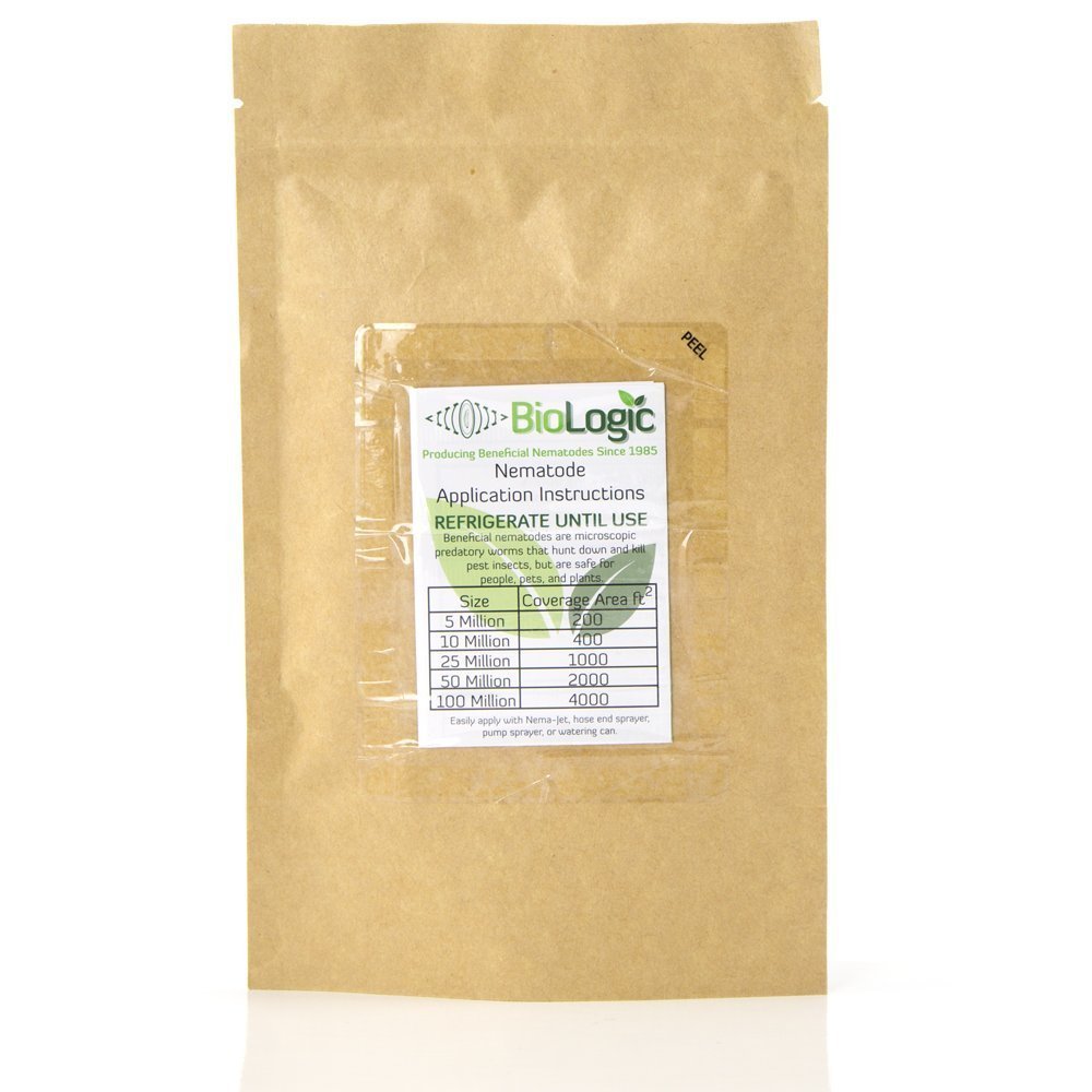BioLogic's Scanmask Beneficial Nematodes, Steinernema feltiae Sf Nematodes for Natural Insect Pest Control (50 Million)