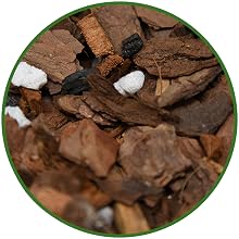 Pine Bark Chips Succulent Soil Cactus potting mix all natural indoor terrarium low watering plants