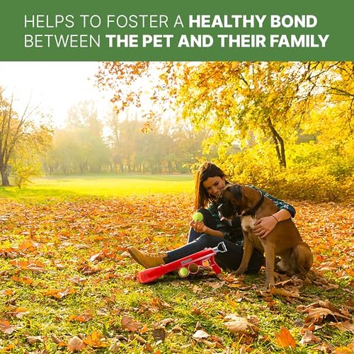 SPOT Launch & Fetch Tennis Ball Launcher Dog Toy | Interactive Dog Fetch Toy Launches Up to 65 Feet | Hands-Free Pickup | Includes 2 Tennis Balls &