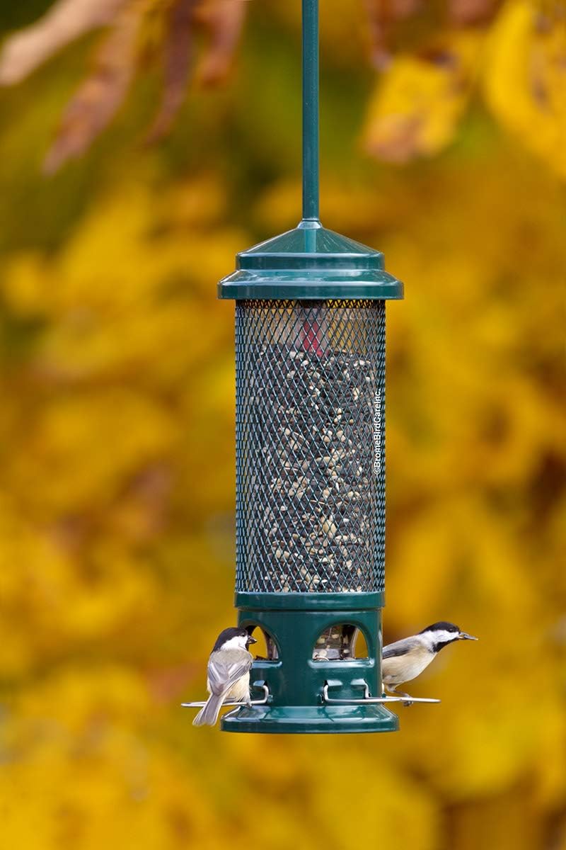 Squirrel Buster Legacy Squirrel-Proof Bird Feeder for Wild Birds – 4 Metal Removable Perches, 2.6 lb Seed Capacity, Chew-Proof Design, Easy to Clean, Green | Four removable metal perches, chew-proof construction, tool-free cleaning