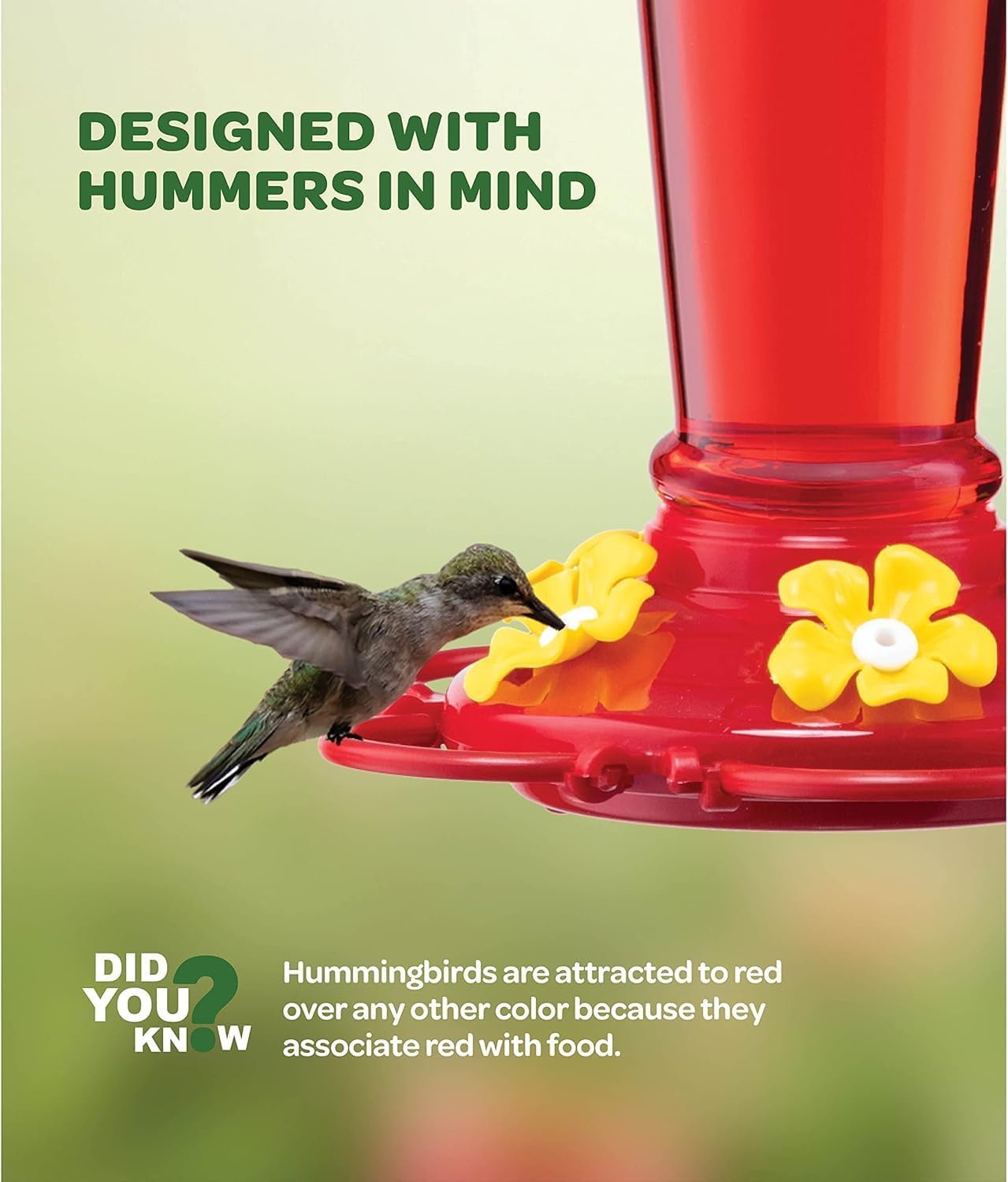 Hummingbird Feeder [Set of 2] Leakproof Clear Plastic 10 oz Wide Mouth.