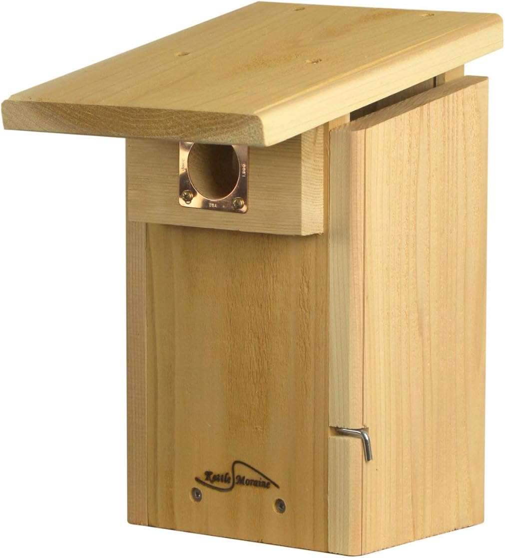 Cedar Super Bluebird House with Steel Pole Package (1)
