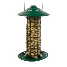 peanuts for birds