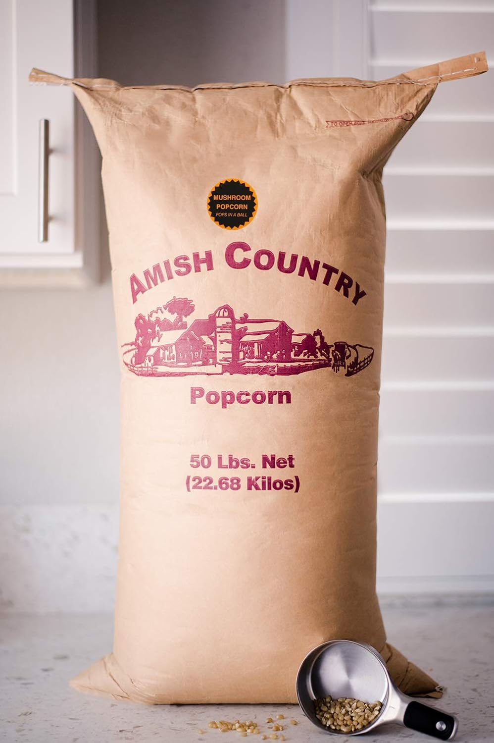Amish Country Popcorn | 6 lb Bag | Mushroom Popcorn Kernels | Old Fashioned, Non-GMO and Gluten Free (Mushroom - 6 lb Bag)