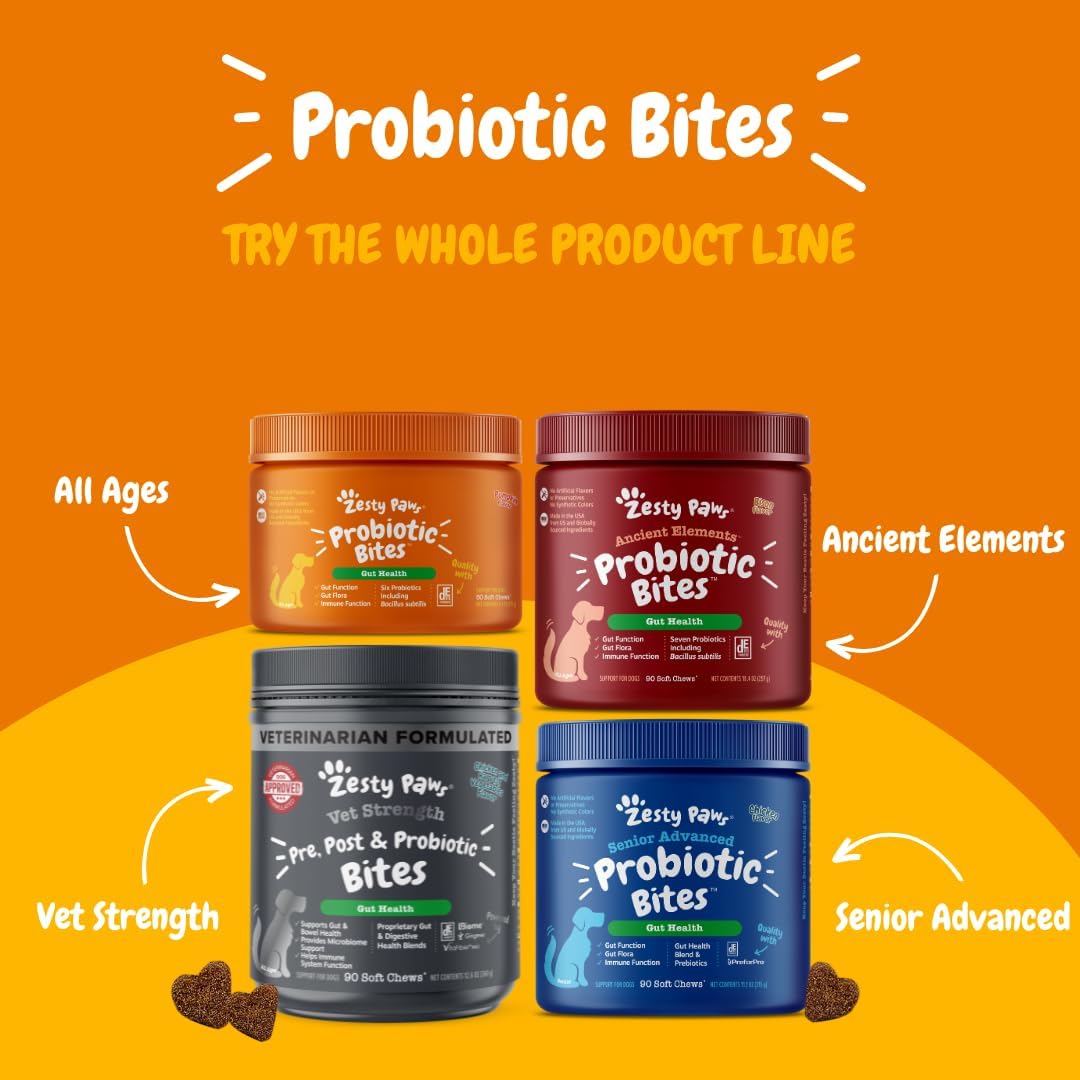 Zesty Paws Probiotics for Dogs - Digestive Enzymes for Gut Flora, Digestive Health, Diarrhea & Bowel Support - Clinically Studied DE111 - Dog Supplement Soft Chew for Pet Immune System - Pumpkin, 90ct