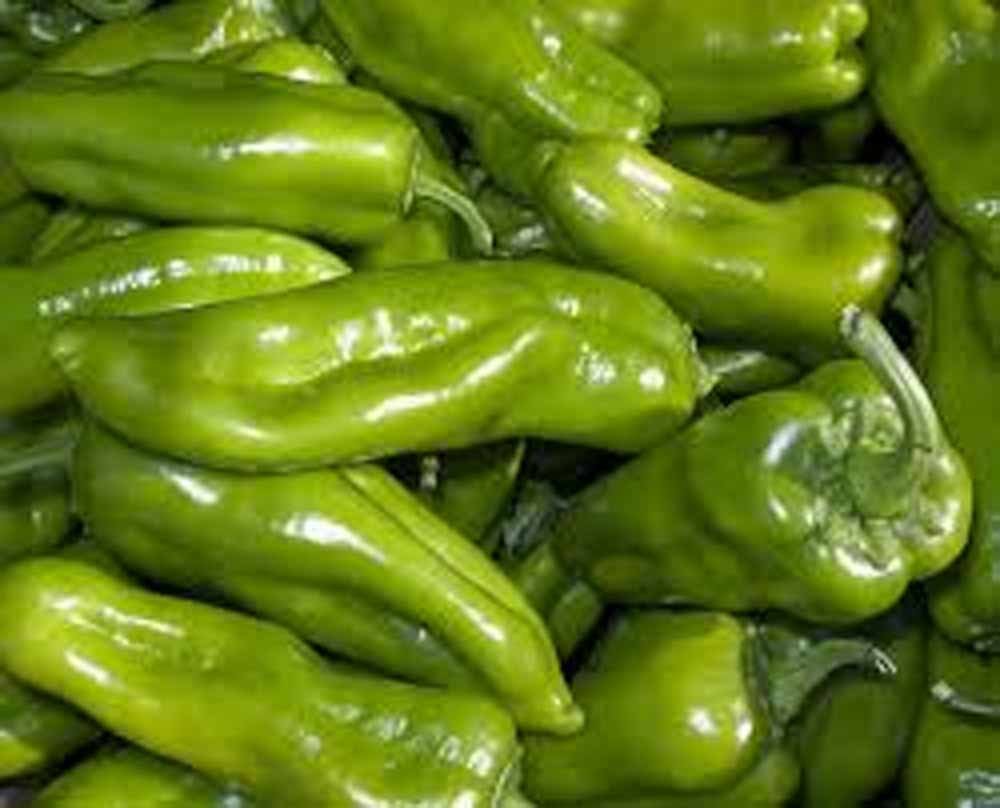 Pepper, Cubanelle Sweet Pepper Seeds, Non GMO, 100 Seeds per Pack