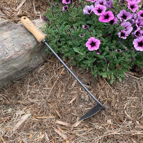 Dewit Dutch Hand Hoe – Right Hand | 18″ Total Length Hand-Forged Boron Steel Garden Hoe with Ash Hardwood Handle