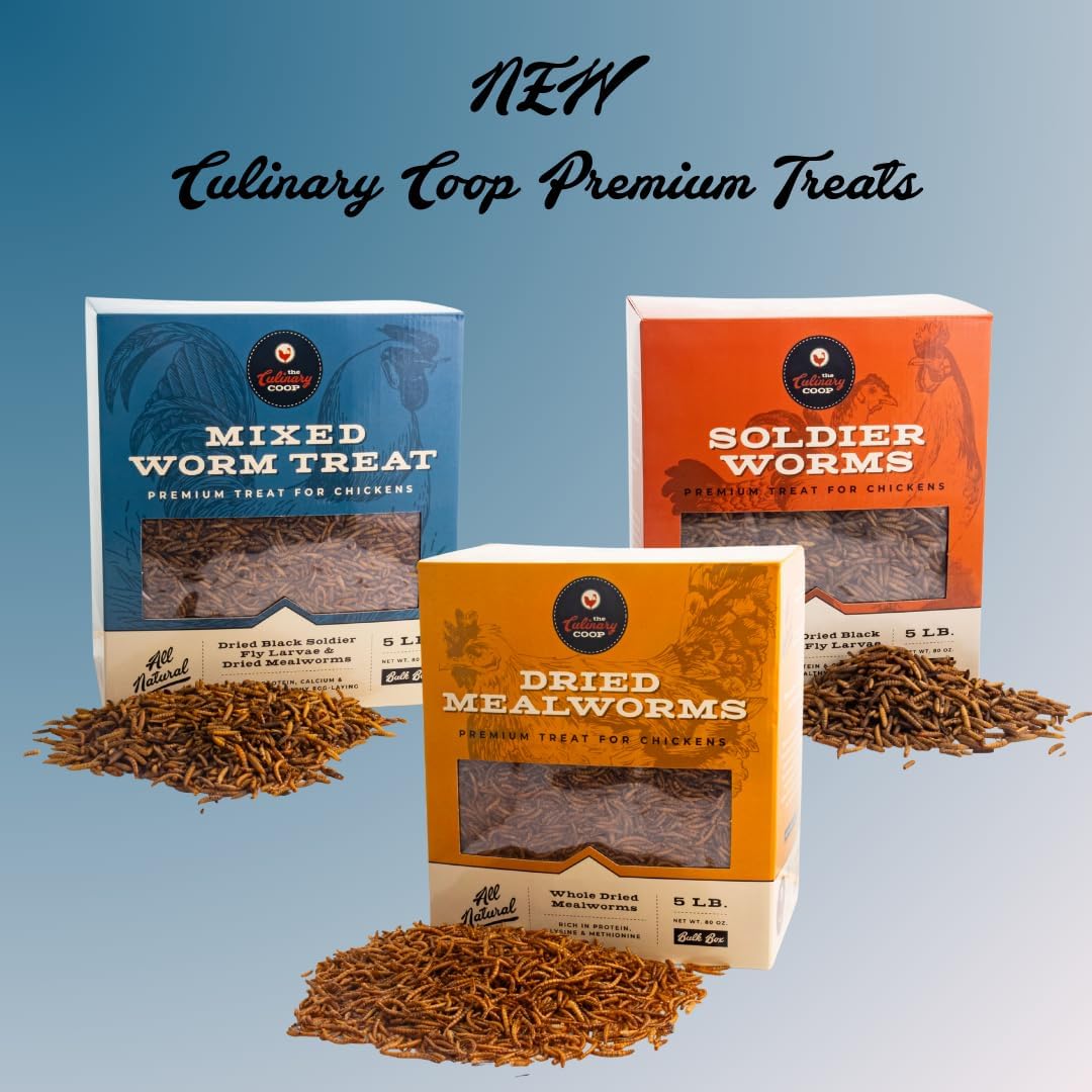 Fluker's Culinary Coop Premium Chicken Treats, Dried Soldier Worms, Packed with Protein and Calcium, 100% Natural Rich Grubs for Chicken, Backyard Birds, and Reptiles, 16 oz