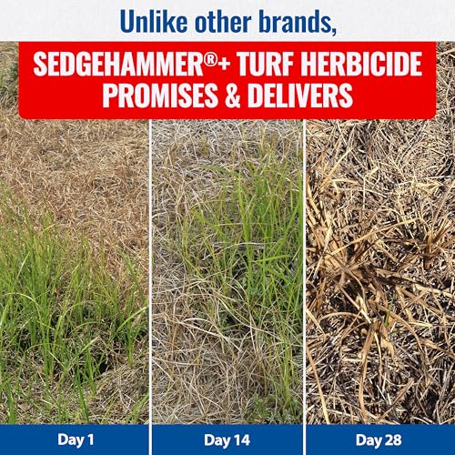 Sedgehammer Plus Turf Herbicide, Purple & Yellow Nutsedge Killer (1) | Lawns with Pre-Mixed Surfactant, Lawn & Pet Safe Weed Killer Mix for Residential Use