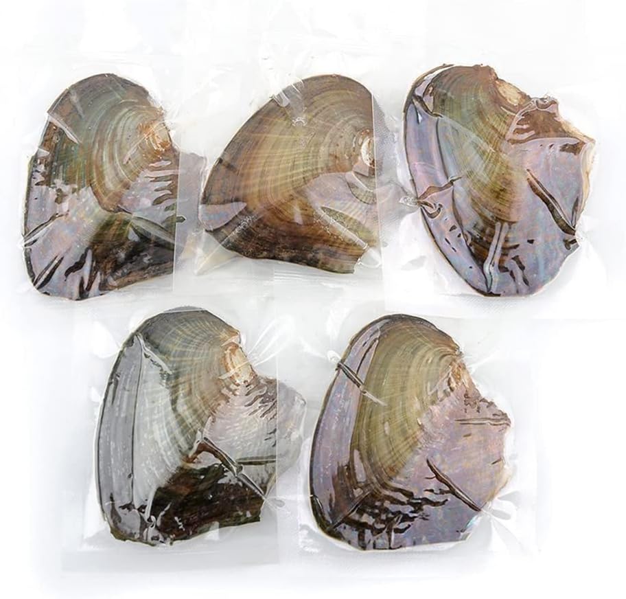 10 PC Freshwater Cultured Pearl Oyster Oval Pearls with White/Pink/Purple/black, Birthday Gifts(7.5-8mm)