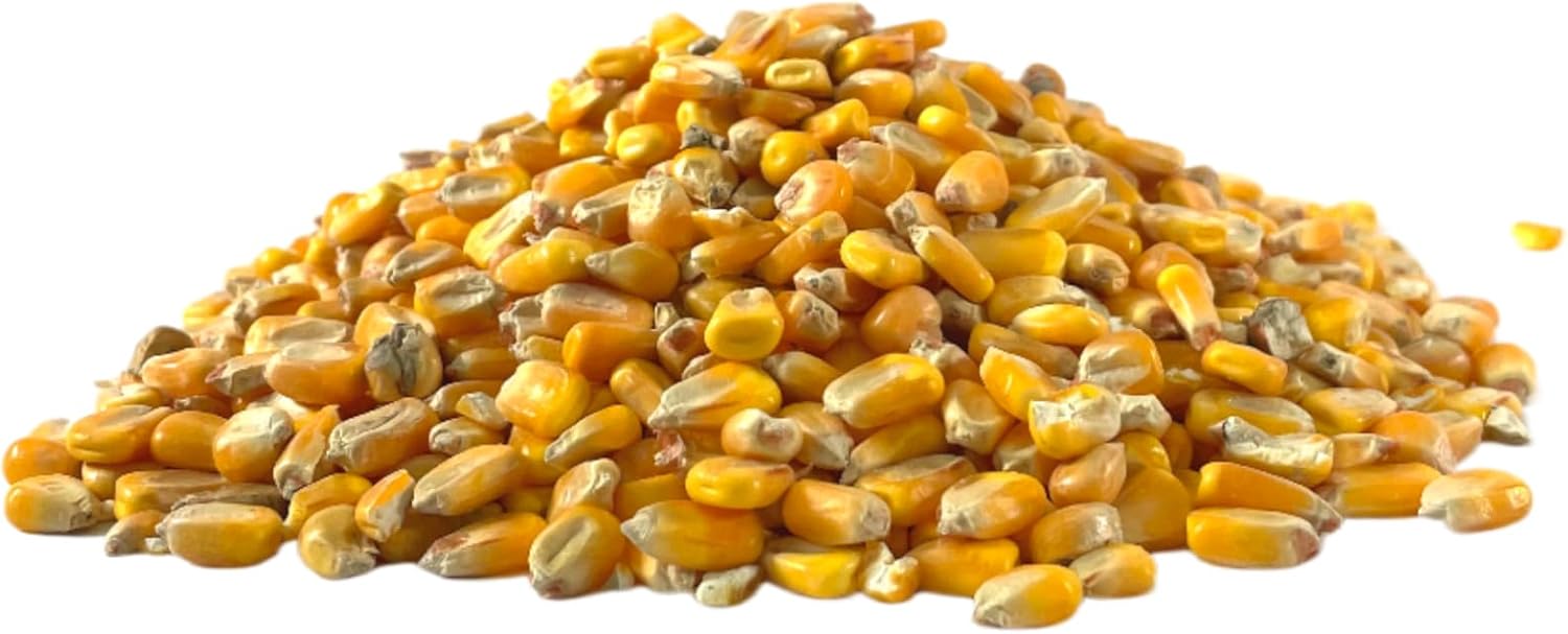 Ernst Grain & Livestock Whole Corn – Perfect Feed for Deer, Squirrels, Chickens, Ducks, Rabbits, Geese, and More! (46 Pound)