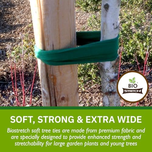 Bio-Stretch Soft Garden Twine & Plant Ties for Outdoor Plants, 1 Ball Green