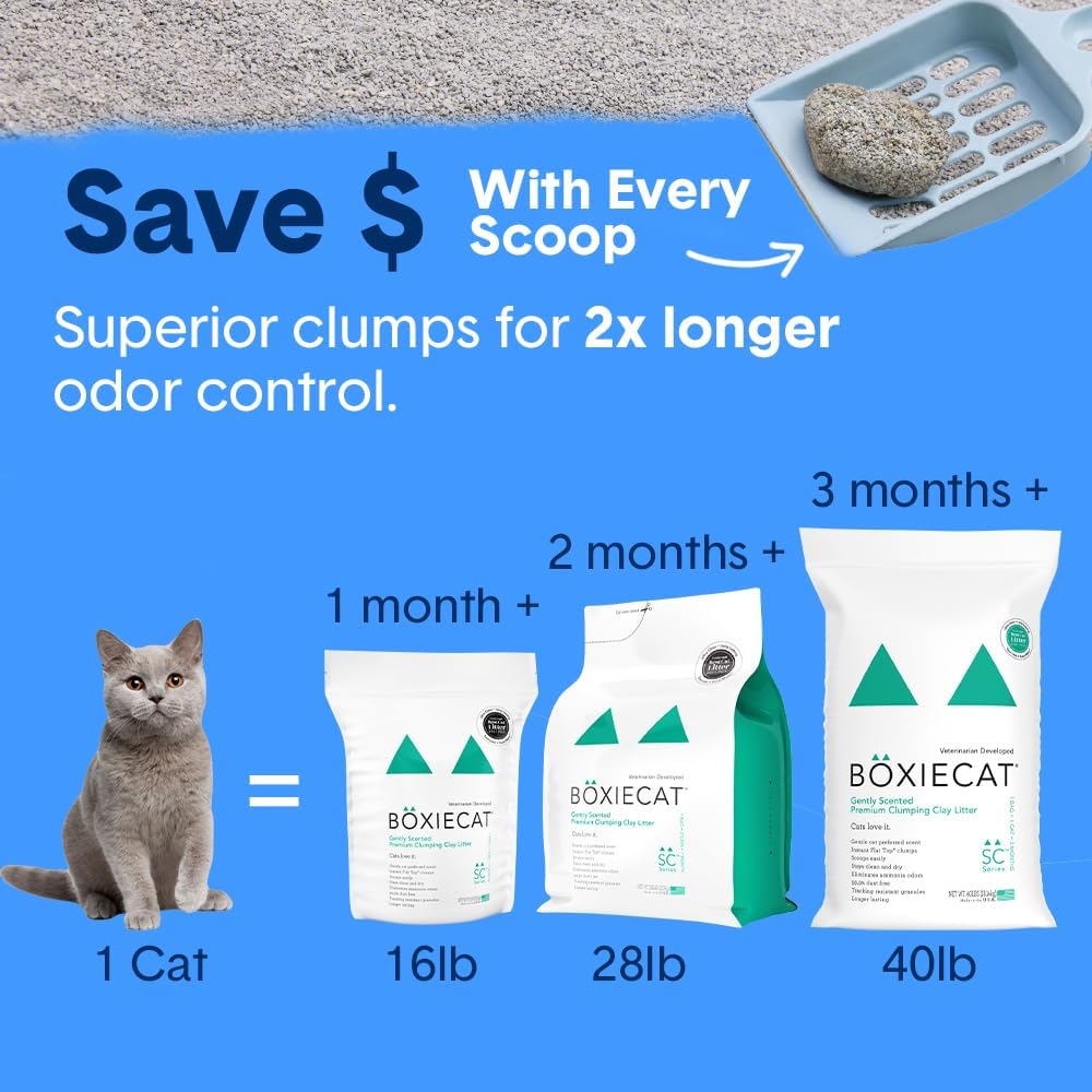 Boxie Premium Unscented Clumping Cat Litter 30+ Day Odor Control 16 lb