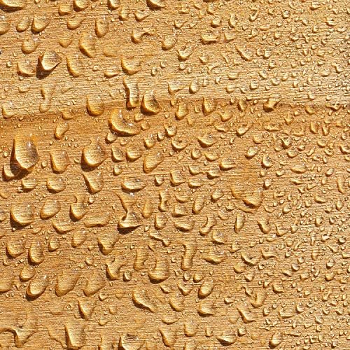 Roxil Wood Sealer Cream (1.5 Gallopn Clear) - One-Coat 10-Year Waterproof Outdoor Wood Treatment & Sealant for Deck, Fence, Sheds, Furniture