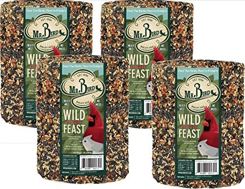 Mr. Bird WildBird Feast Cylinder, 1-Pack, 4 lbs | Wild Bird Seed for Outside Feeders | Premium Blend of Pecans, Sunflower Hearts & Millet | No Mess, No Melt