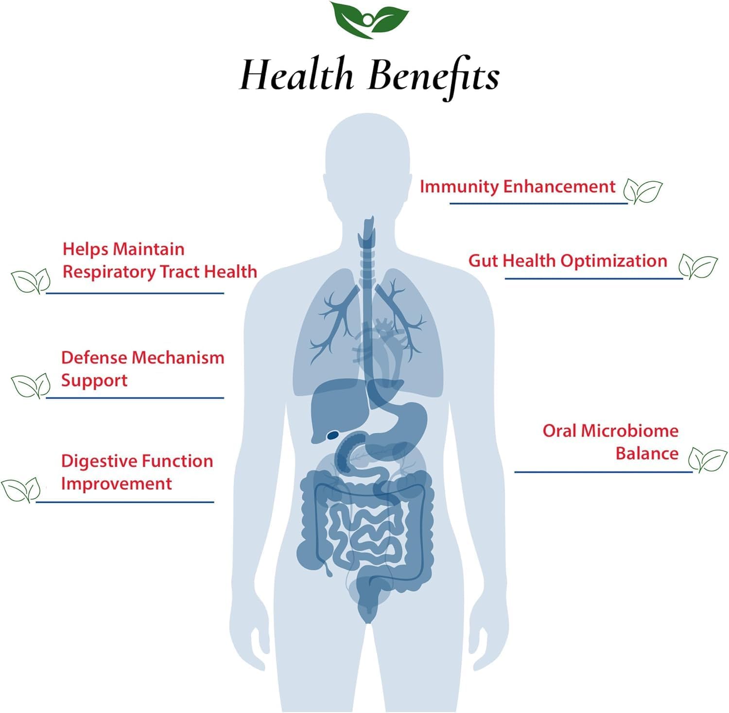 Foods For Gut Lactobacillus Salivarius Probiotic Powder 300 Billion cfu's | Made in USA | No Additives | Digestive & Immune Support | High Potency